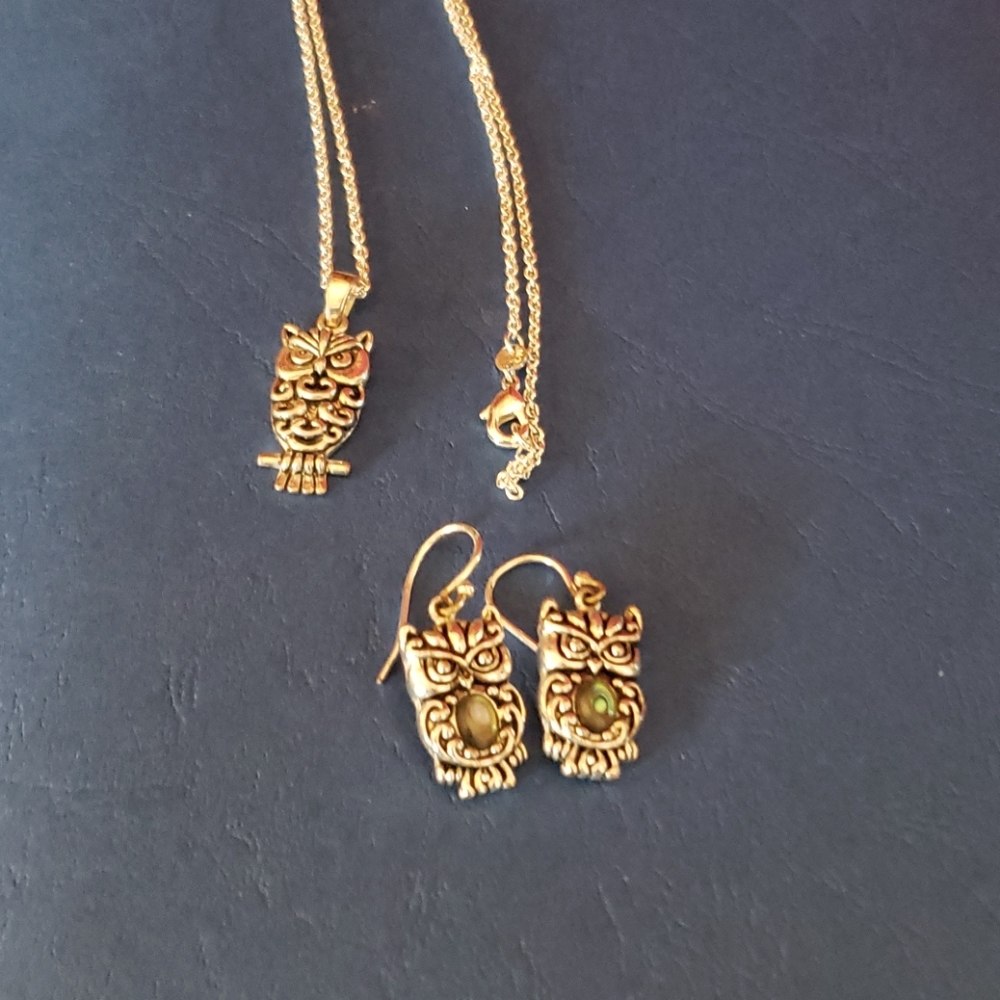 Necklace and earrings. Costume.